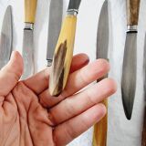 Coffret ancien avec 12 couteaux en acier inoxydable et manches en bois de cerf des années 70