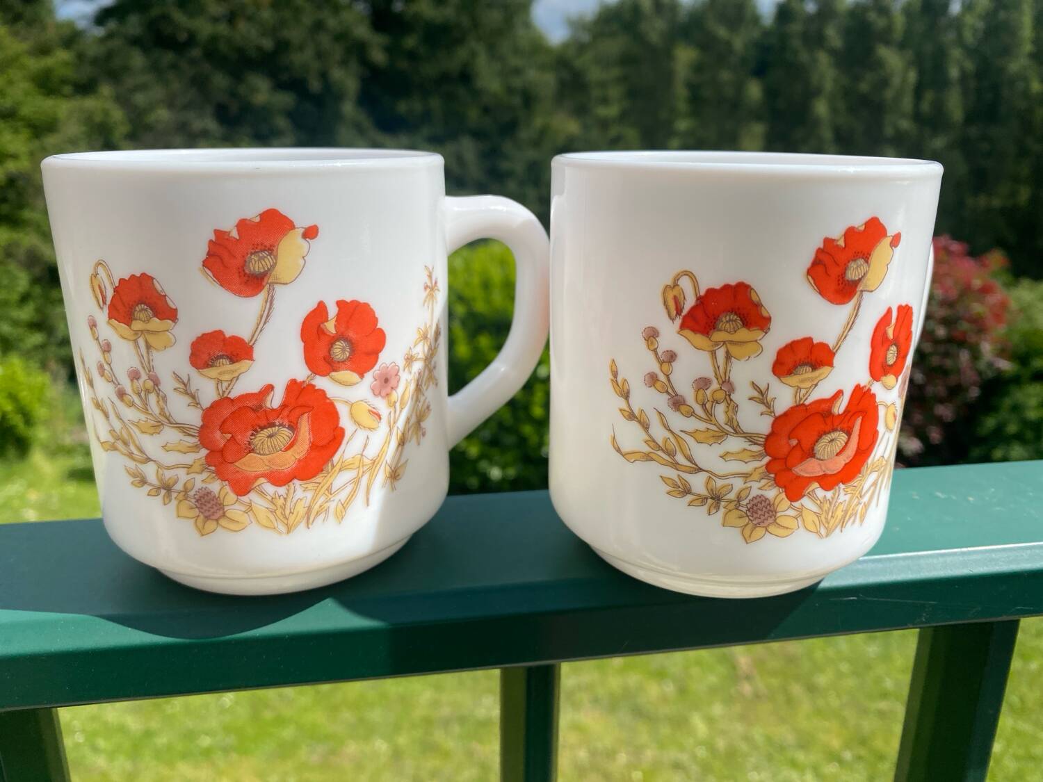 Arcopal Vintage Poppy Mug Duo