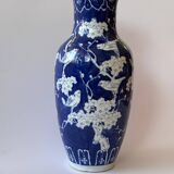 Chinese blue and white porcelain vase Chinese Spring