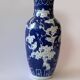 Chinese blue and white porcelain vase Chinese Spring