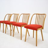 Set of four dining chairs by Antonín Šuman, 1960s