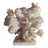 Corail blanc ancien agrémenté de coquillages roses