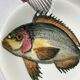 8 Plates flat fish painted handmade art art Proceram