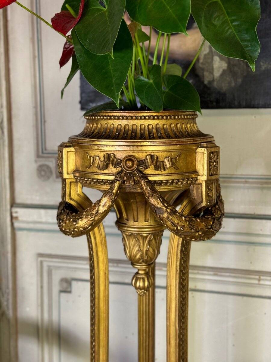 Louis XVI style planter in carved and gilded wood circa 1900