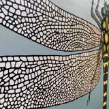 Rouleau d'Illustration libellule