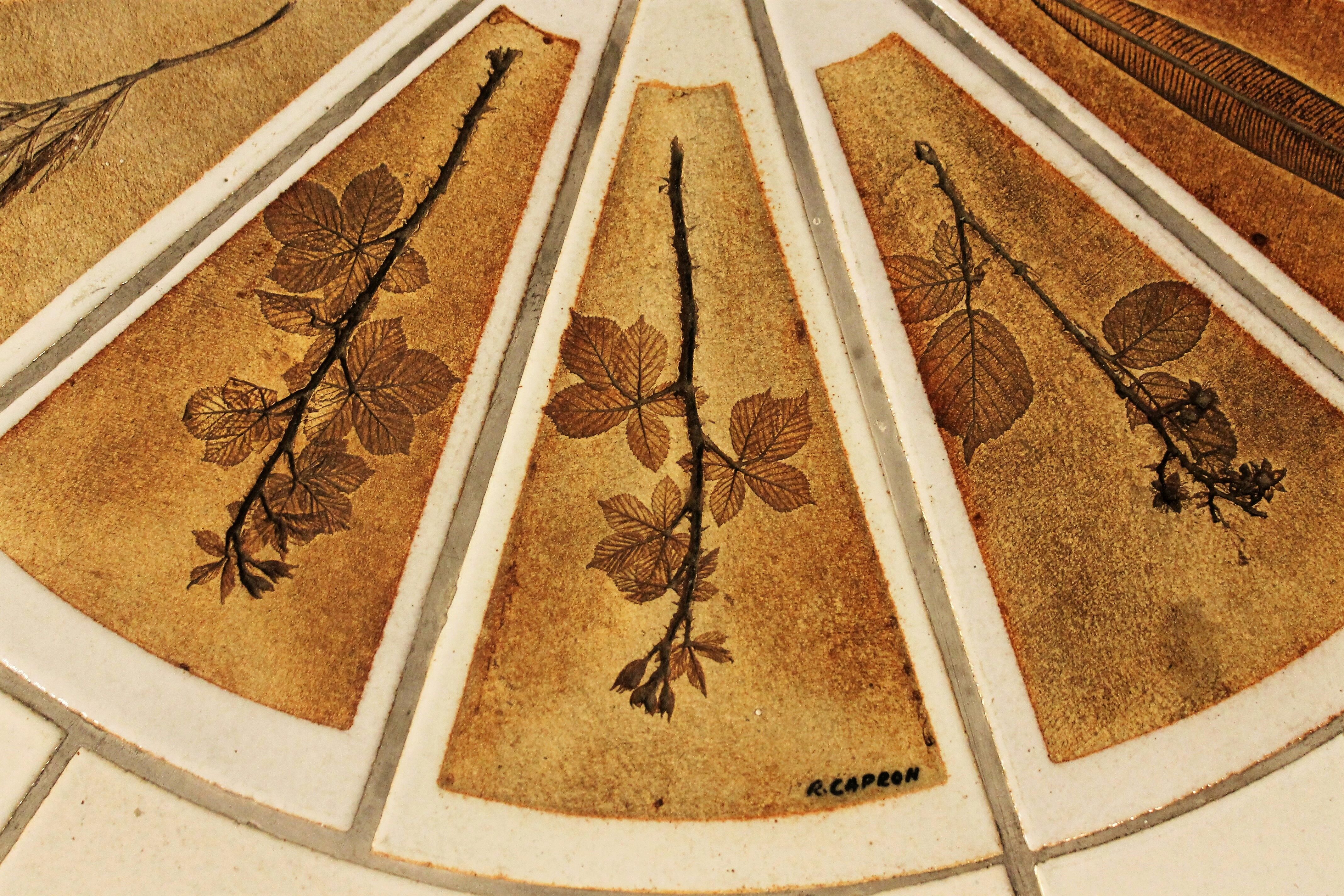 Coffee table "Herbarium" by Roger Capron 1960s