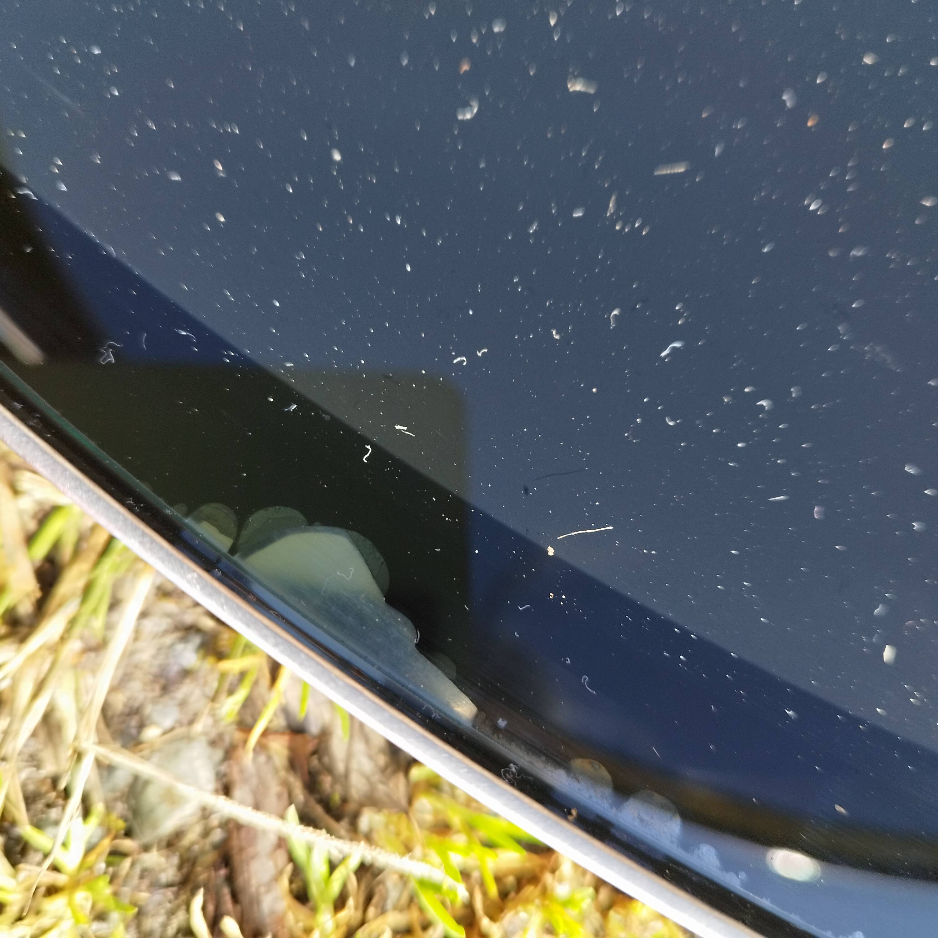 Vintage coffee table by Gallotti and Radice.