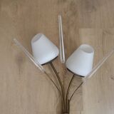 Mid-Century French Brass Sconces • Bullrush Design • Opaque Glass Shades