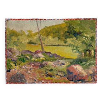 Oil painting on canvas "Nature and forest" n°8