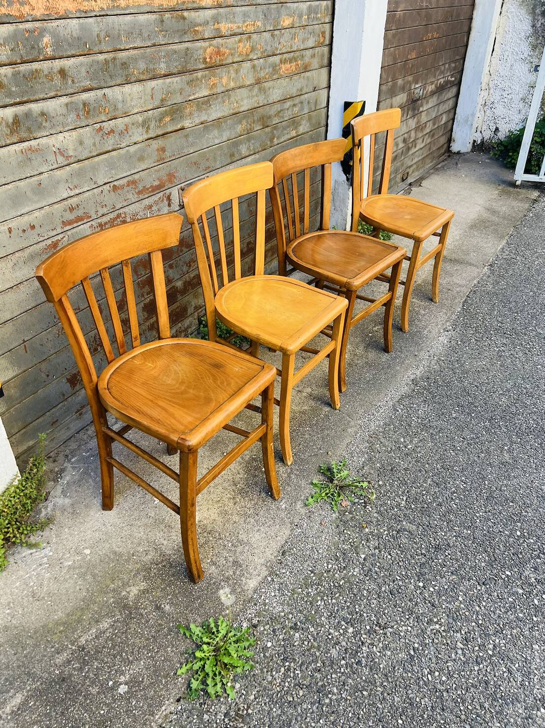 Suite de Chaises de Bistrot en Bois