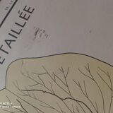 Vintage school poster