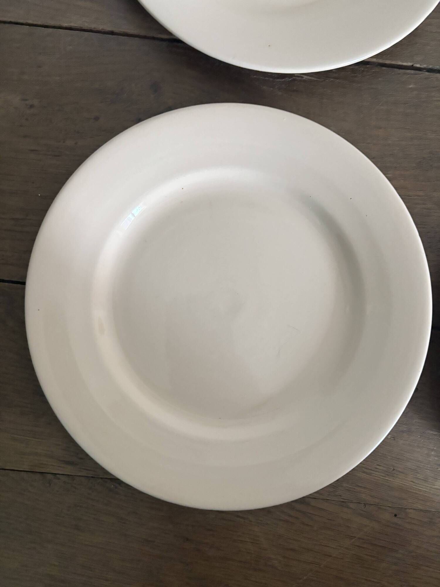 Set of 12 vintage plates Digoin Sarreguemines – Powder pink