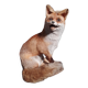 Renard empaillé et naturalisé taxidermie