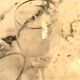 Cut crystal glassware set