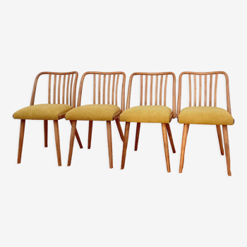 Ensemble de chaises conçu par A. Suman, Tchécoslovaquie, les années 60