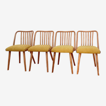 Set of chairs designed by A. Suman, Czechoslovakia, the 60s