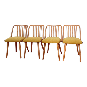 Set of chairs designed by A. Suman, Czechoslovakia, the 60s