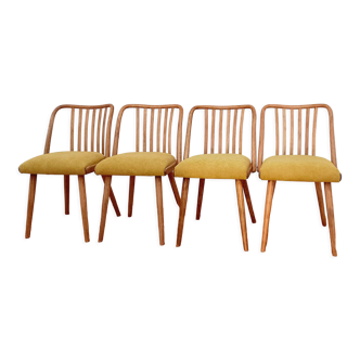 Ensemble de chaises conçu par A. Suman, Tchécoslovaquie, les années 60
