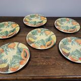6 Tutti Frutti Corona plates