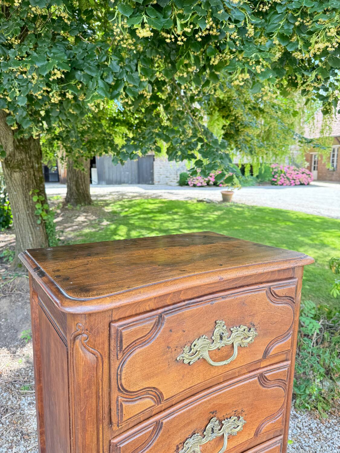 Chiffonnier En Noyer De Style Régence XIX Eme Siècle