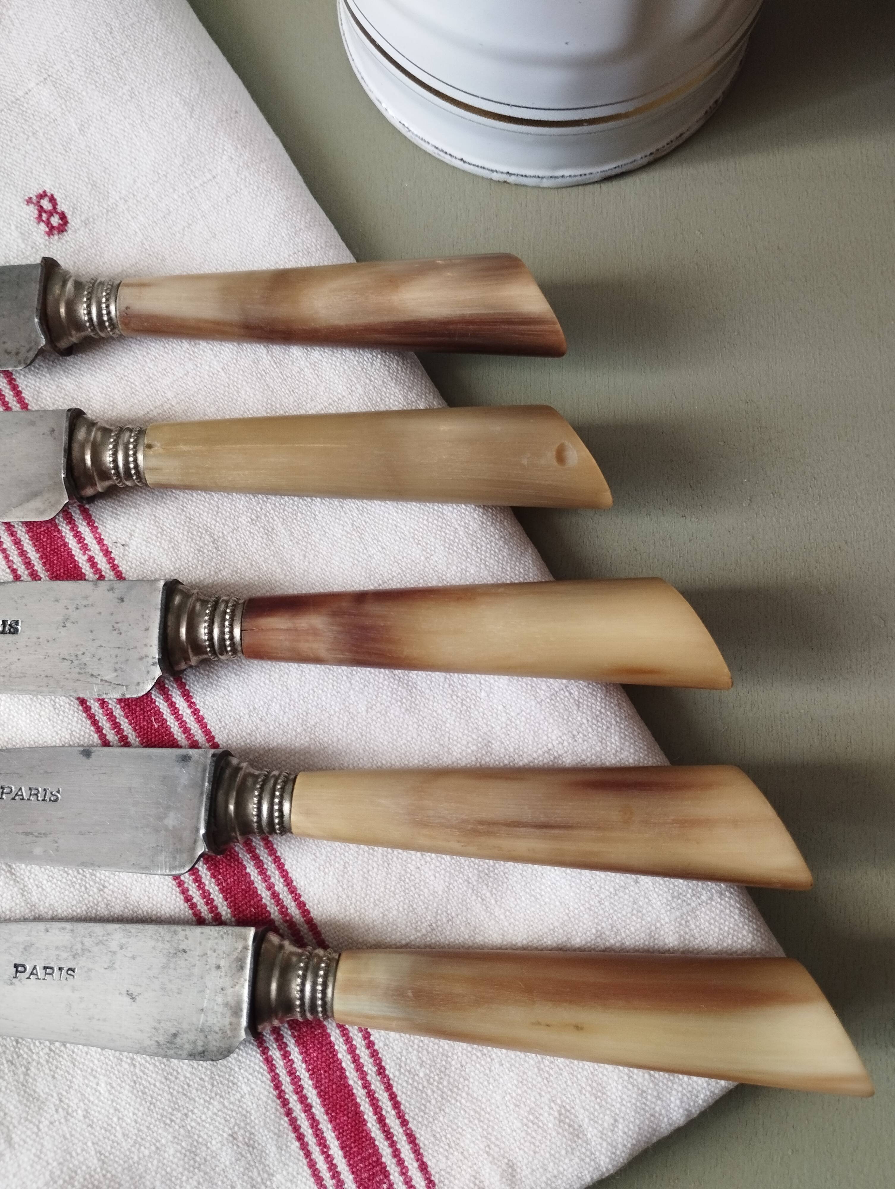 Lot de 5 couteaux « Paris » manche en corne et virole en argent.