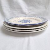 Vintage blue dinner plates