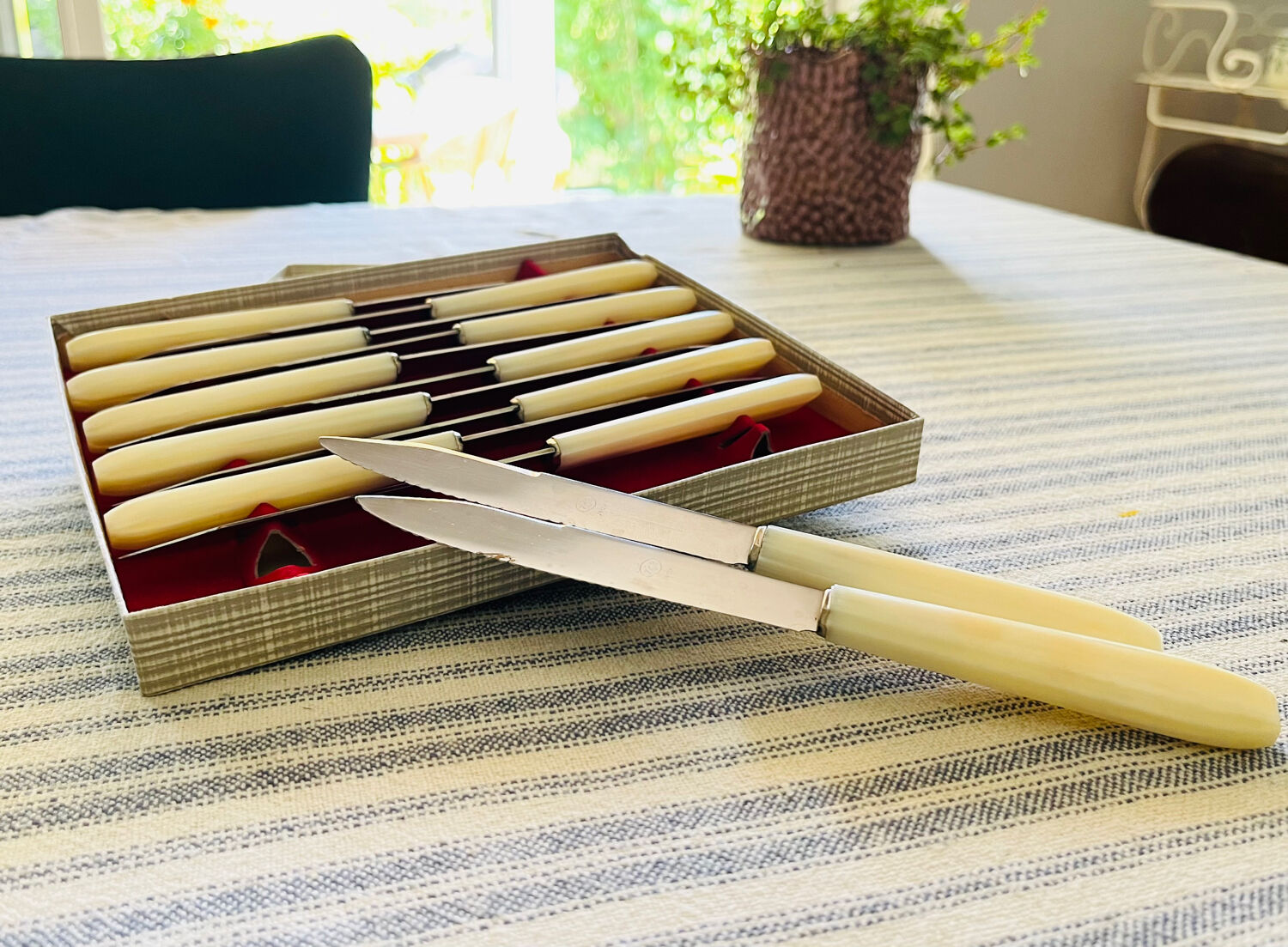 Box stainless steel knives