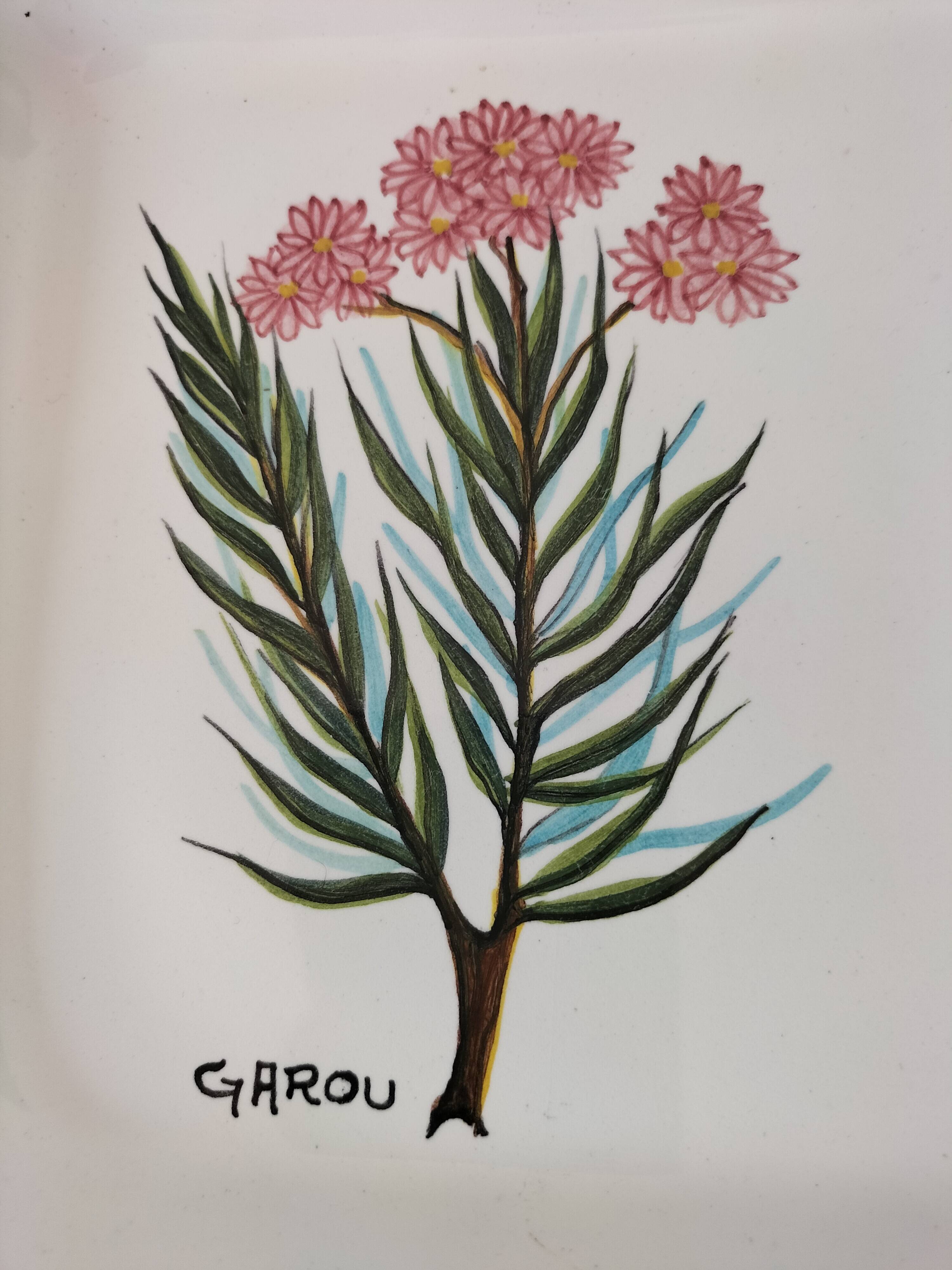 Trio of square Deruta plates signed MARI E.C., botanical decoration 962.21