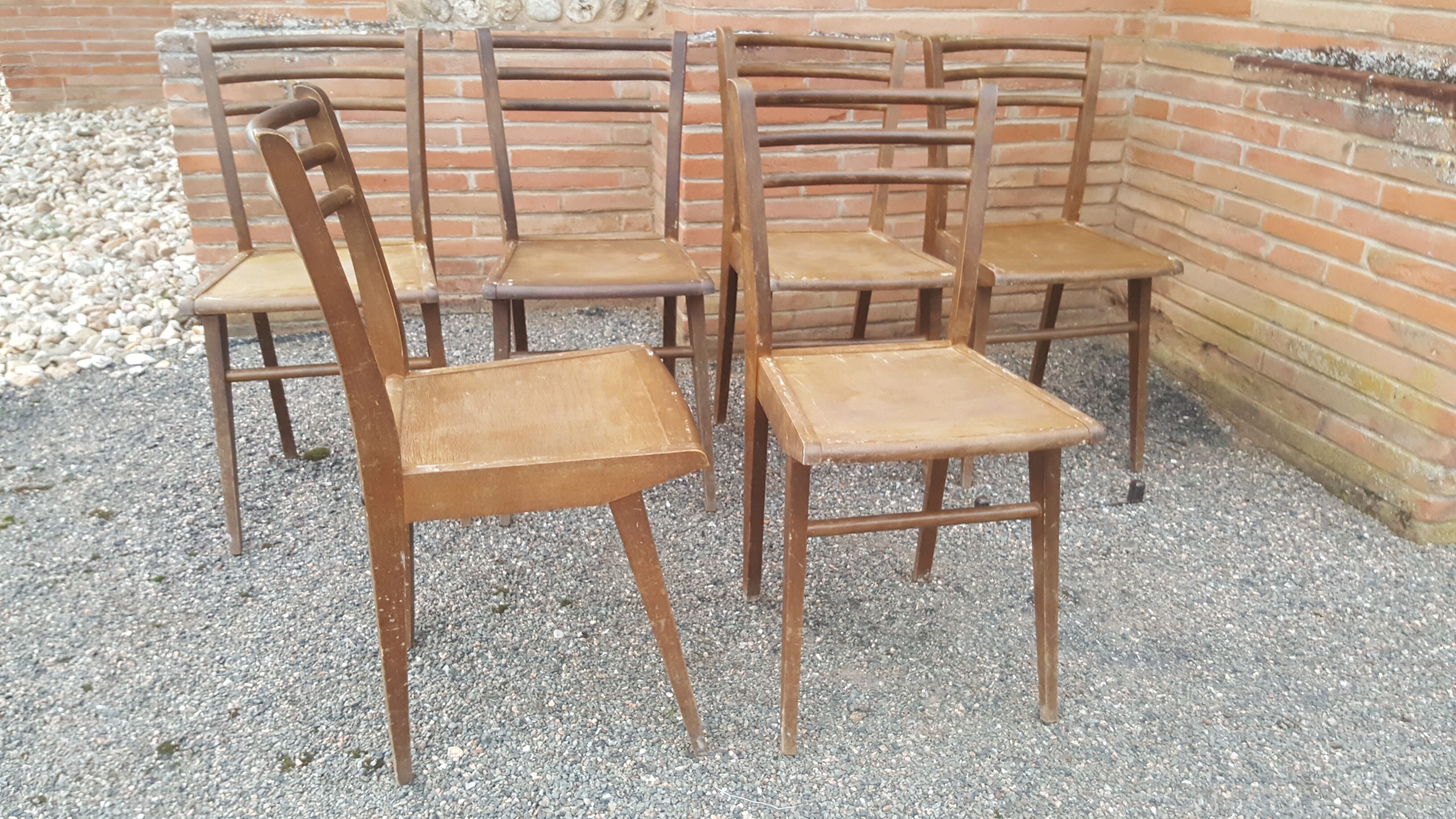 6 "Stella" chairs
