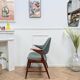 Vintage Scandinavian design chair
