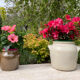 Light beige stoneware jar