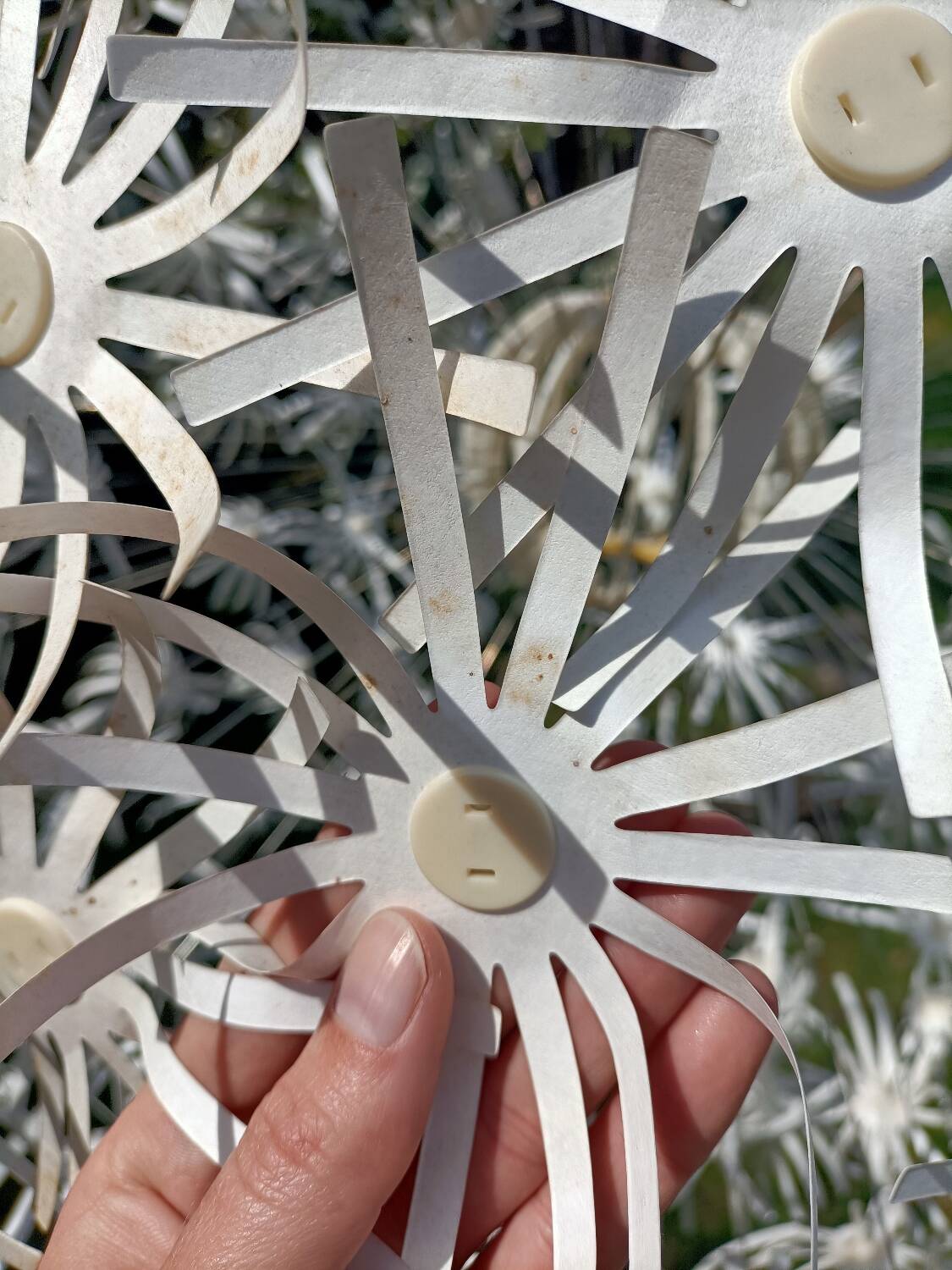 Dandelion pendant light