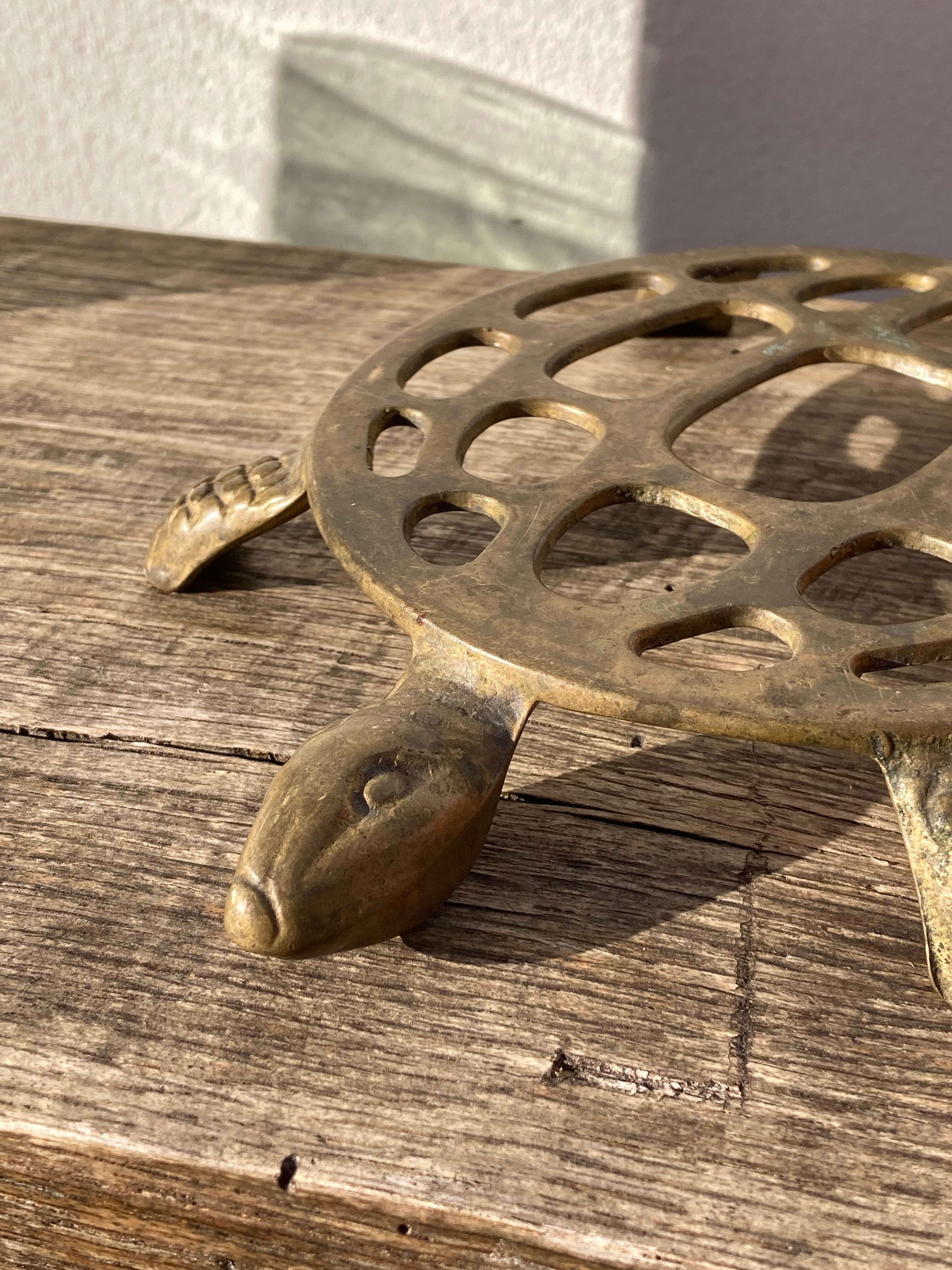 Vintage brass turtle trivia