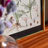Framed pharmaceutical poster