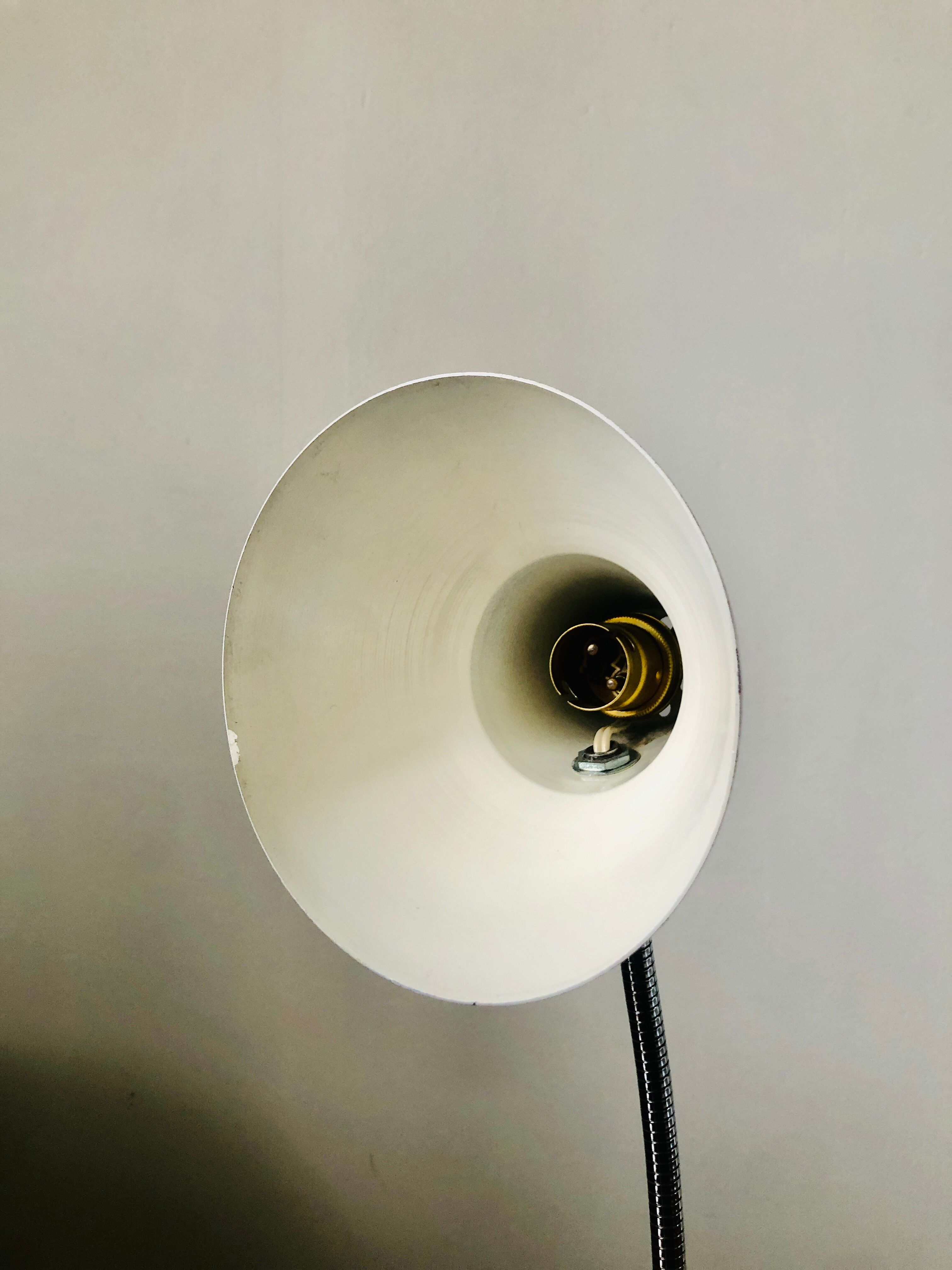 Aluminum hose desk lamp