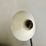 Aluminum hose desk lamp