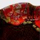 "Fish" plate in Vallauris ceramic - Monaco decor - Circa 1960