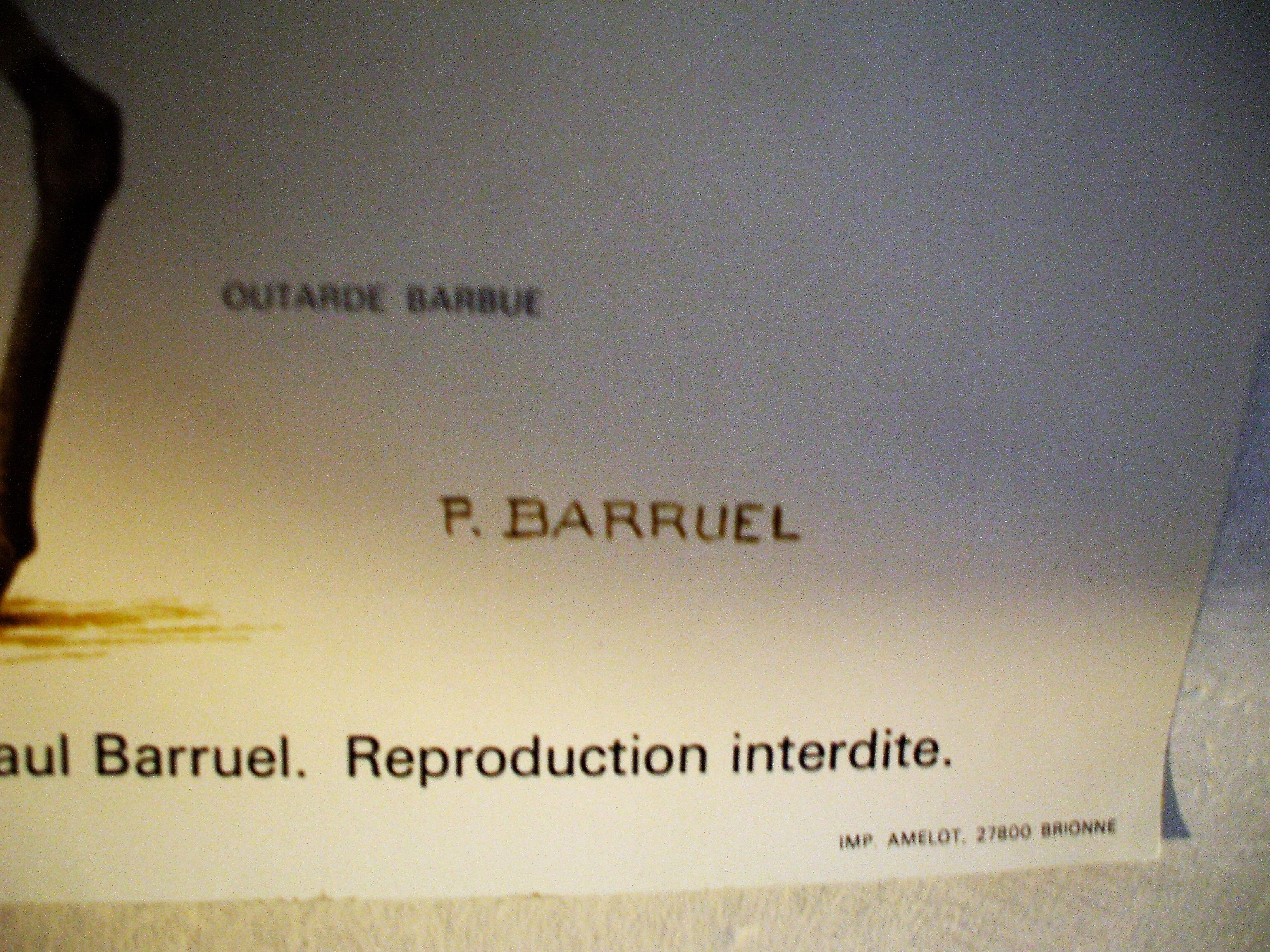 Poster species protected in France