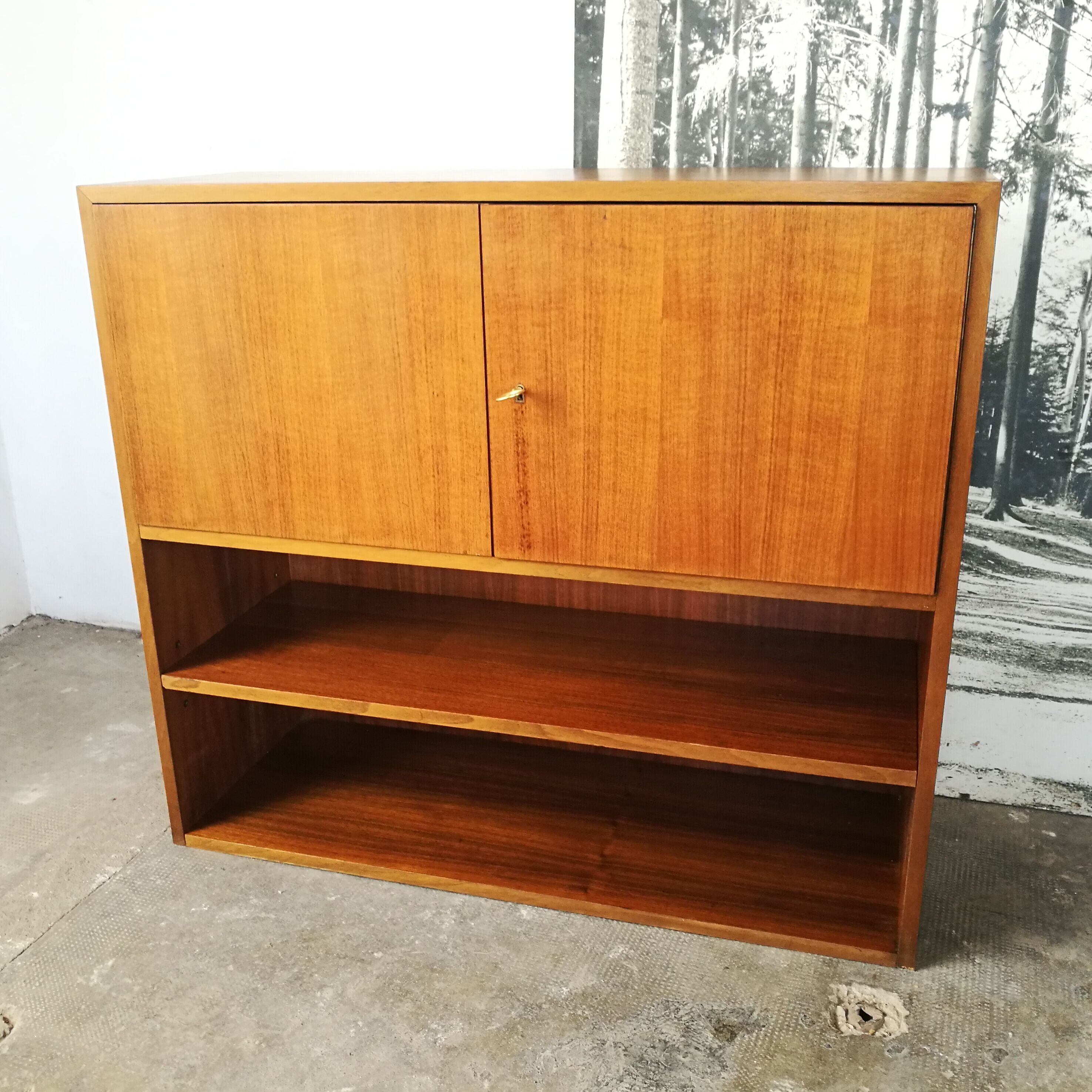 Shelf, mid century library