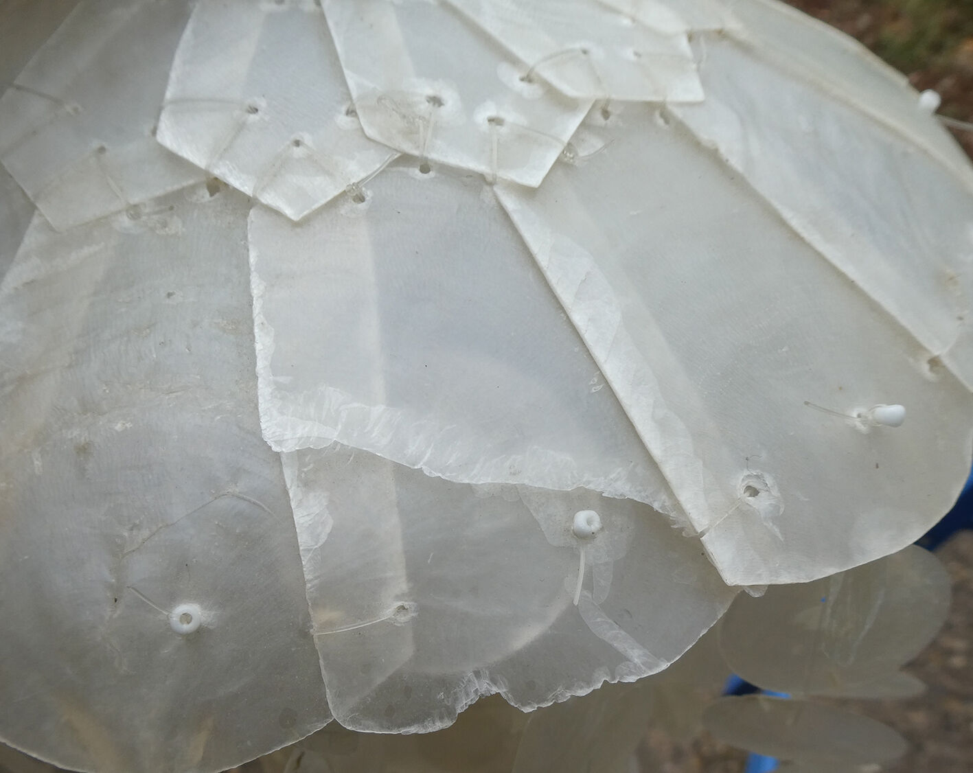 Duo of hanging lamps in mother-of-pearl tassels