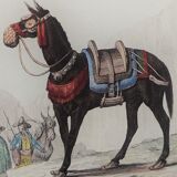 Original zoological plate "zebra & mule" - buffon 1840