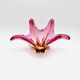 Coupe Murano - Sommerso - Orange & Rose