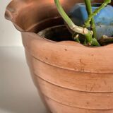 Copper planter “mur de barrez” 1960s