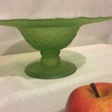 Glass cup and dummy fruit