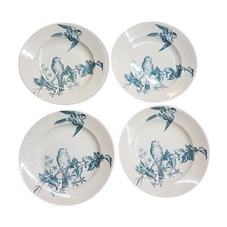 Suite de 4 assiettes en faïence à décor d'oiseau