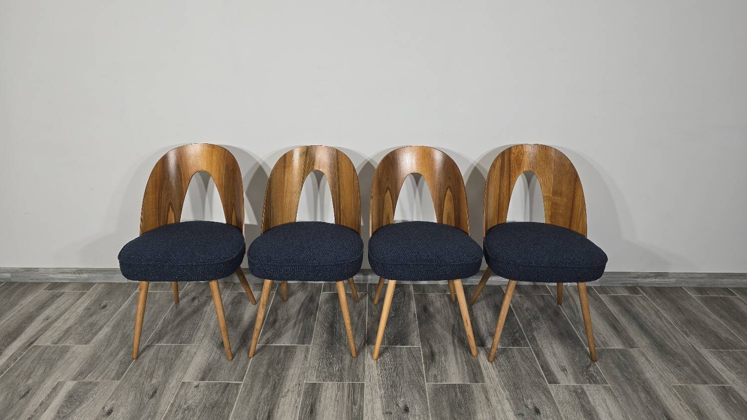 Dining Chairs by Antonin Suman, 1960s, Set of 4