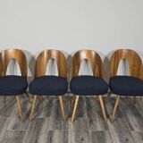 Dining Chairs by Antonin Suman, 1960s, Set of 4