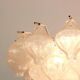 1 of 6 large tulip glass chandeliers by Kalmar, Austria, 1960s