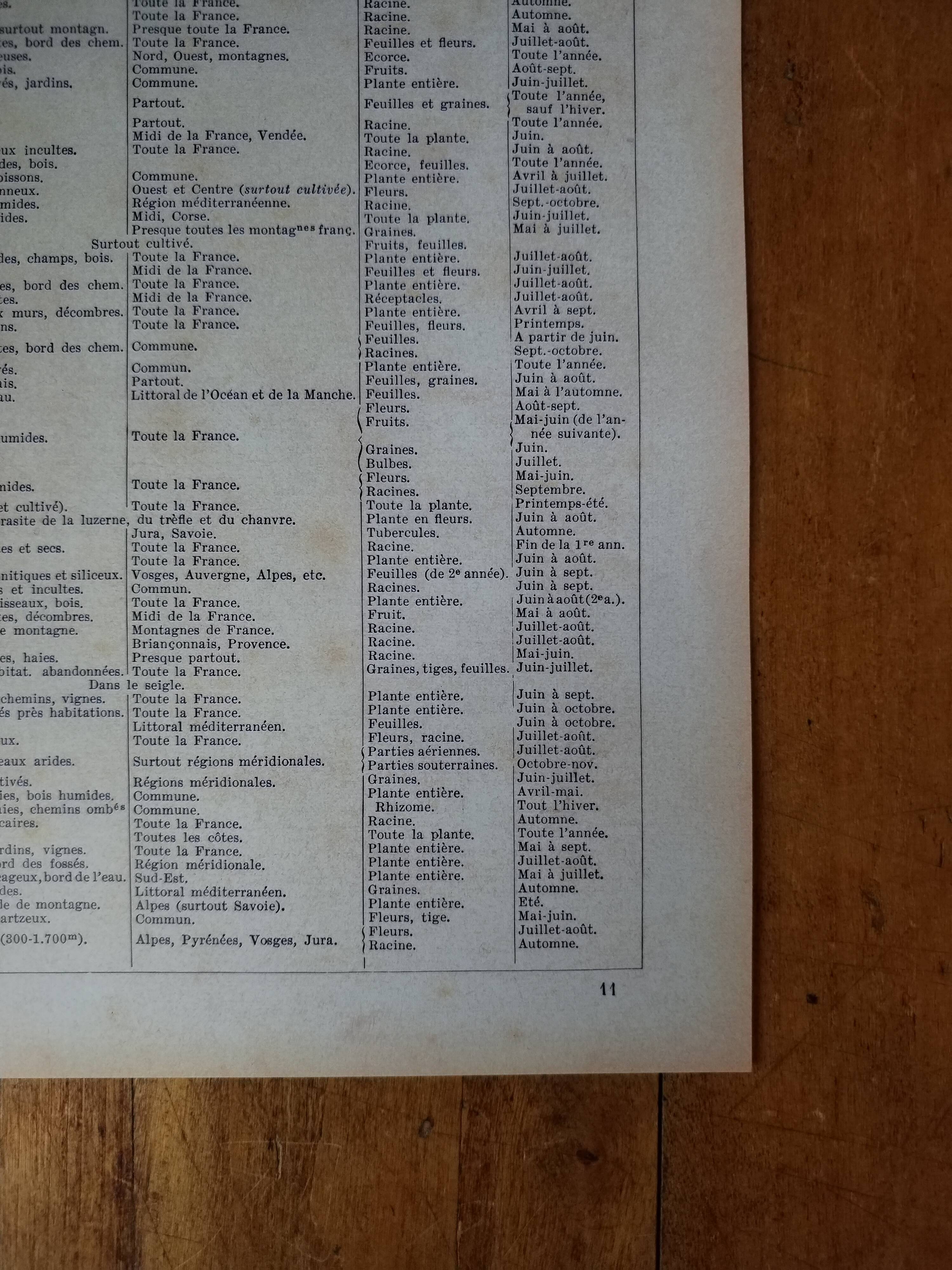 Original lithograph on medicinal plants (1)