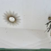Miroir octogonal biseauté, années 40-50